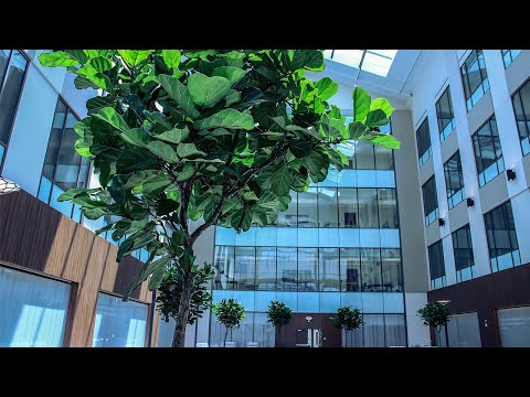 Swadesh Khurana Healing Garden in North Houston