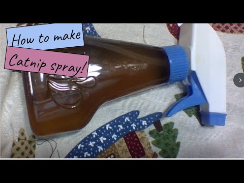 How to make catnip spray!