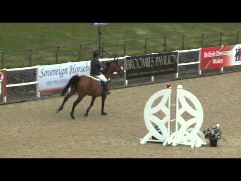 Chepstow CSI** 2016 - CSI1* Gold Tour Grand Prix 1.30m