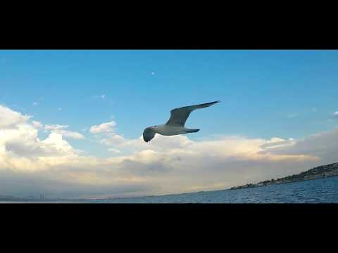 Video thumbnail for Adımı Geri Ver (Live)