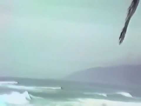 Caleb Belkin Collection