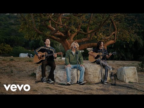 Rec Hall - Delay (Acoustic)