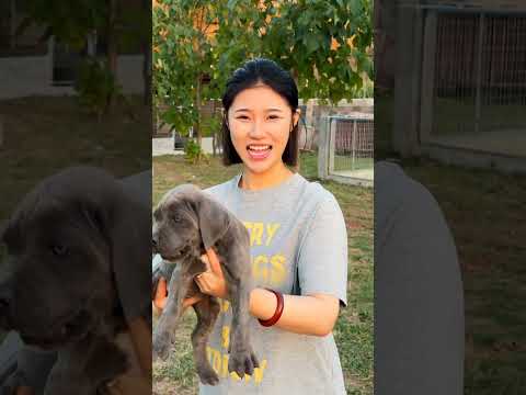 She raised the cutest little cute dog 😍😎