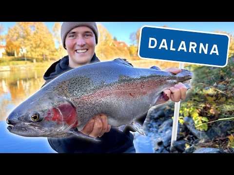 FISHING STORE CHALLENGE - What Do We Get For 2500sek at GOFISH.SE