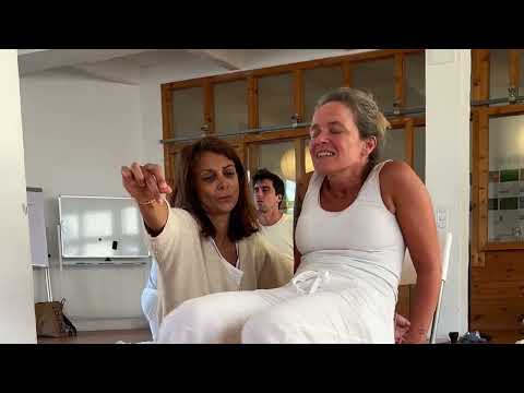 Sensory Energetics short