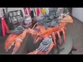 Mechanized lobster