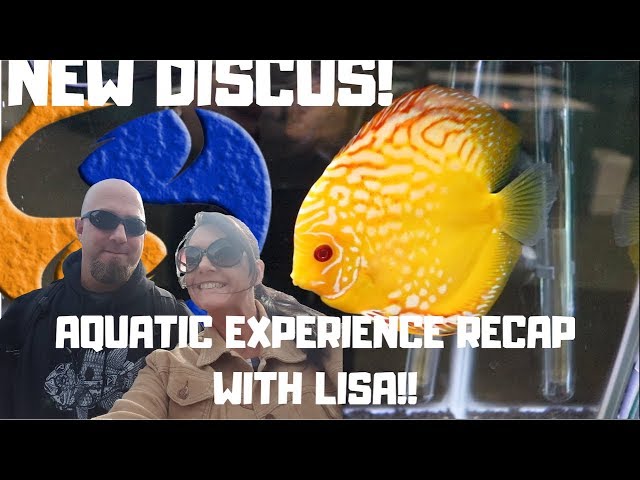 New Discus Tank!! Tons Of Free Aquarium Supplies!! Free Aquariums!!