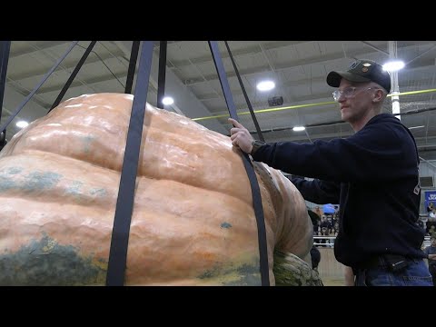 Giant pumpkin wins first prize at US fair | AFP