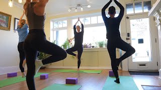 Video Screenshot for Parasimple