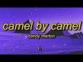 Sandy Marton - Camel by Camel | zone tan ankha music animal crossing egyptian cat song