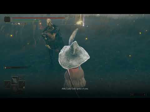 Welcome to the land of Shaodws | Elden Ring Shadow of the Erdtree