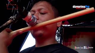 Download lagu JURAGAN EMPANG - DIANA SASTRA | DESA AMIS | CIKEDUNG | INDRAMAYU | 2/5/2018 | DS  mp3