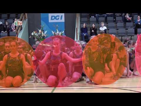 DGI Sønderjyllands traditionelle forårsopvisning