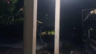 Download lagu bunyi bel sekolah jam 12 malam mp3 Download lagu bunyi bel sekolah jam 12 malam mp3