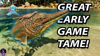 SECRETS of the ICHTHYOSAURUS | Taming & Tips for Ark Survival Ascended
