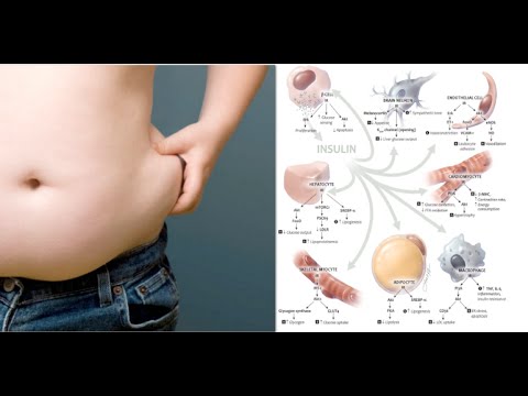 Vale a dire, per aumentare la potenza Trattamento per le malattie potenza
