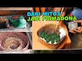 AWALNYA DIANGGAP MITOS KINI JADI PRIMADONA BURUNG CUCAK IJO SUDAH DITERNAK MASAL PROSPEK TINGGI