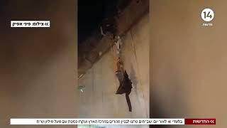 לאור יום: שב"חים פרצו לבניין מגורים במרכז ועקרו כספת עם מעל מיליון ש"ח | החדשות (חדשות ערוץ 14) - התמונה מוצגת ישירות מתוך אתר האינטרנט יוטיוב. זכויות היוצרים בתמונה שייכות ליוצרה. קישור קרדיט למקור התוכן נמצא בתוך דף הסרטון