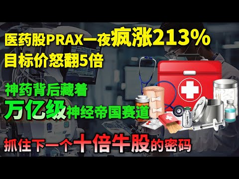 史诗级暴涨！医药股Praxis (PRAX) 一夜疯涨213%，目标价怒翻5倍！这颗“神药”背后，藏着一条普通人也能抓住的万亿级“神经帝国”赛道！看懂这个局，抓住下一个十倍牛股的密码 #praxis