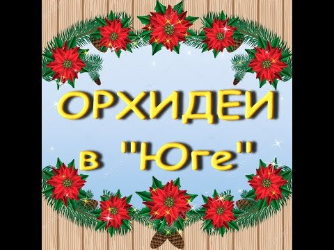 Завоз ШИКАРНЫХ ОРХИДЕЙ в "Юге",Voodoo,БигЛипы;мои ПОКУПКИ!!!14.12.19,Самара,ул.Авиационная,8.