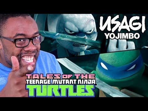 NINJA TURTLES x USAGI YOJIMBO - #TMNT Movie Review