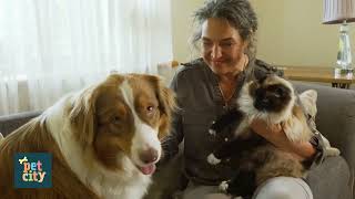 Pet City Digi formātu paraugi 2023