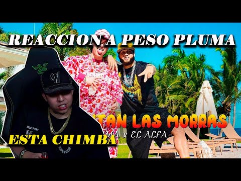 WESTCOL REACCIONA A EL ALFA X PESO PLUMA - PLEBADA