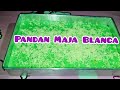 How To Make Pandan Maja Blanca| Maja Blanca With a Twist| How to Make Cheesy Maja Blanca