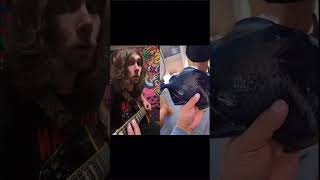 What if Dracula had a fish? #shorts #creepy #fish #guitar