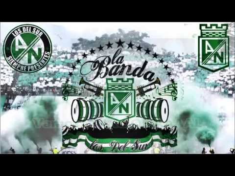 "LA BANDA LOS DEL SUR - Al Campeon yo lo llevo en el corazon" Barra: Los del Sur • Club: Atlético Nacional