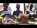 Khat Power The Latest War On Drugs