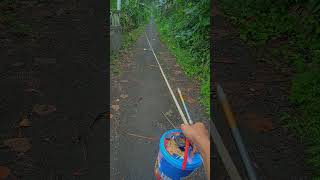 Download lagu Story' wa|| Hari Minggu Mancing mp3 Download lagu Story' wa|| Hari Minggu Mancing mp3