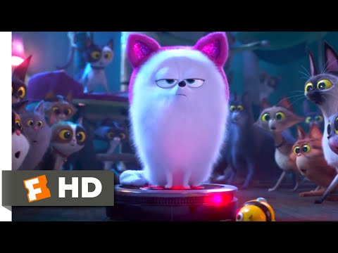 The Secret Life of Pets 2 - Dog vs. Cats Scene (5/10) | Movieclips