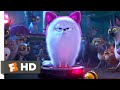 The Secret Life Of Pets 2 Dog Vs Cats Scene 5 10 Movieclips