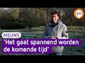 Bloesem al in bloei, natuur van slag door warmte