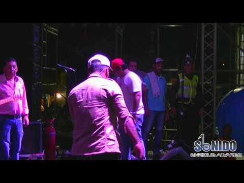 Mr Black Vivo por ti