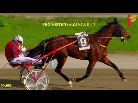 III Corsa del 17 Dicembre 2022 - Campionato Italiano Gentlemen 4 - Metri 1600