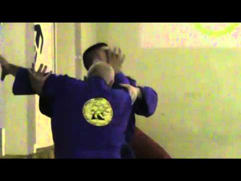 Real Aikido Seminar - Rousse, BG, 2010, Part 01.mp4
