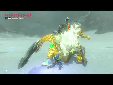 Zelda Botw - No Damage Two Gold Lynels at once