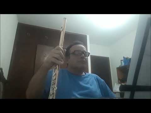 MINHA ROSA PERFUMADA (music by RODRIGO BOTTER MAIO) featuring LEANDRO PORFÍRIO (flute) Video Nr. 214