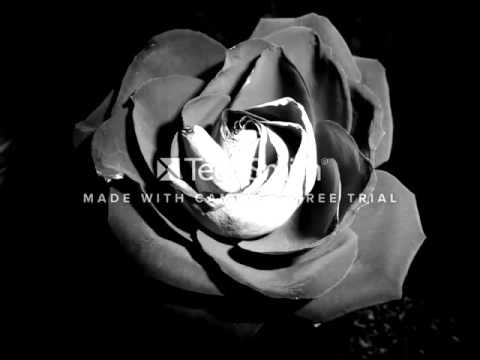 Monika - Listen (cover)