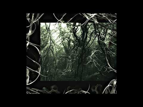 whirr ✣ heavy shoegaze type instrumental - "it's not like you care" || + anticøn