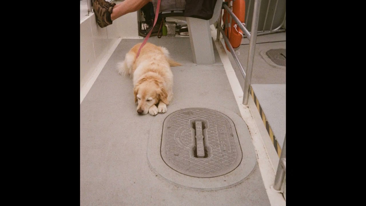 Swiss Portrait - All Night