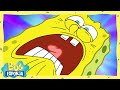 Cuidado Donde Pintas Bob Esponja En Español