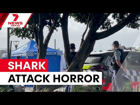 Boy critical after Sydney Harbour shark attack | 7NEWS