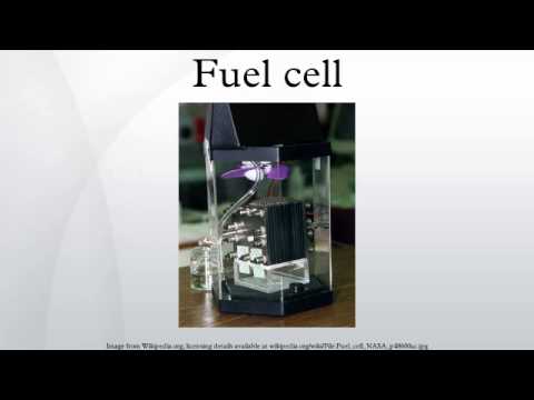 Fuel cell