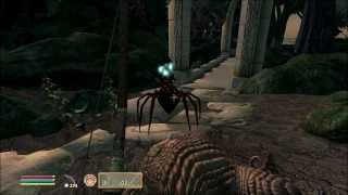 Let's Play Oblivion Part 234 - The Savior of Some