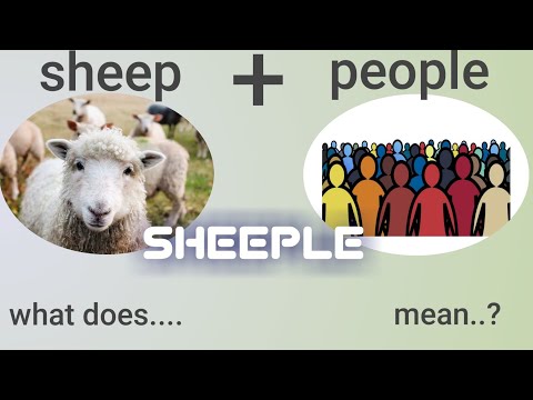 #what does sheeple mean?