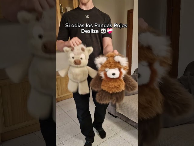 Vídeo relacionado con Llavero Peluche,2 Piezas,Peluche Llavero Kawaii,para mujeres y niñas,para Las Mujeres Bolso,Bolsa Colgante decoración