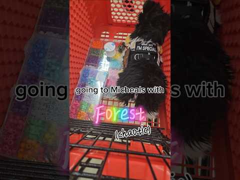 Michaels with Forest, chaos. #dontflop #cute #craft #essa #shorts